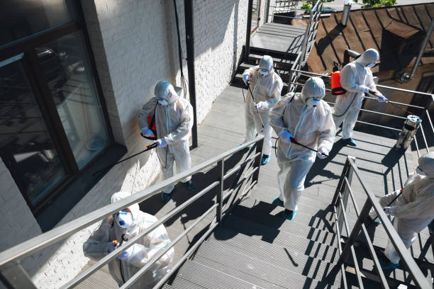 Best Mold Prevention Services  in Crowley Lake, CA