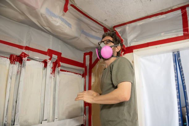 Best Asbestos and Lead Testing During Mold Inspection  in Crowley Lake, CA