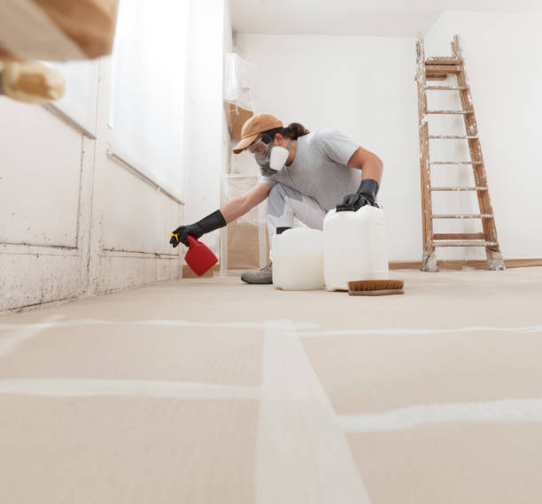 Best Comprehensive Air Testing for Mold Contaminants  in Crowley Lake, CA