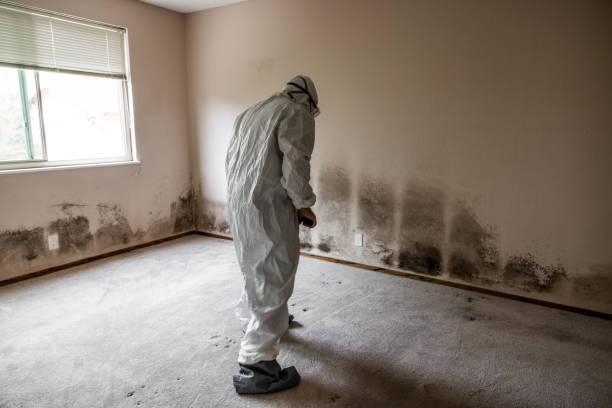 Best Industrial Mold Remediation  in Crowley Lake, CA